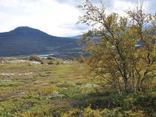 norská podzimní krajina|1097|728|